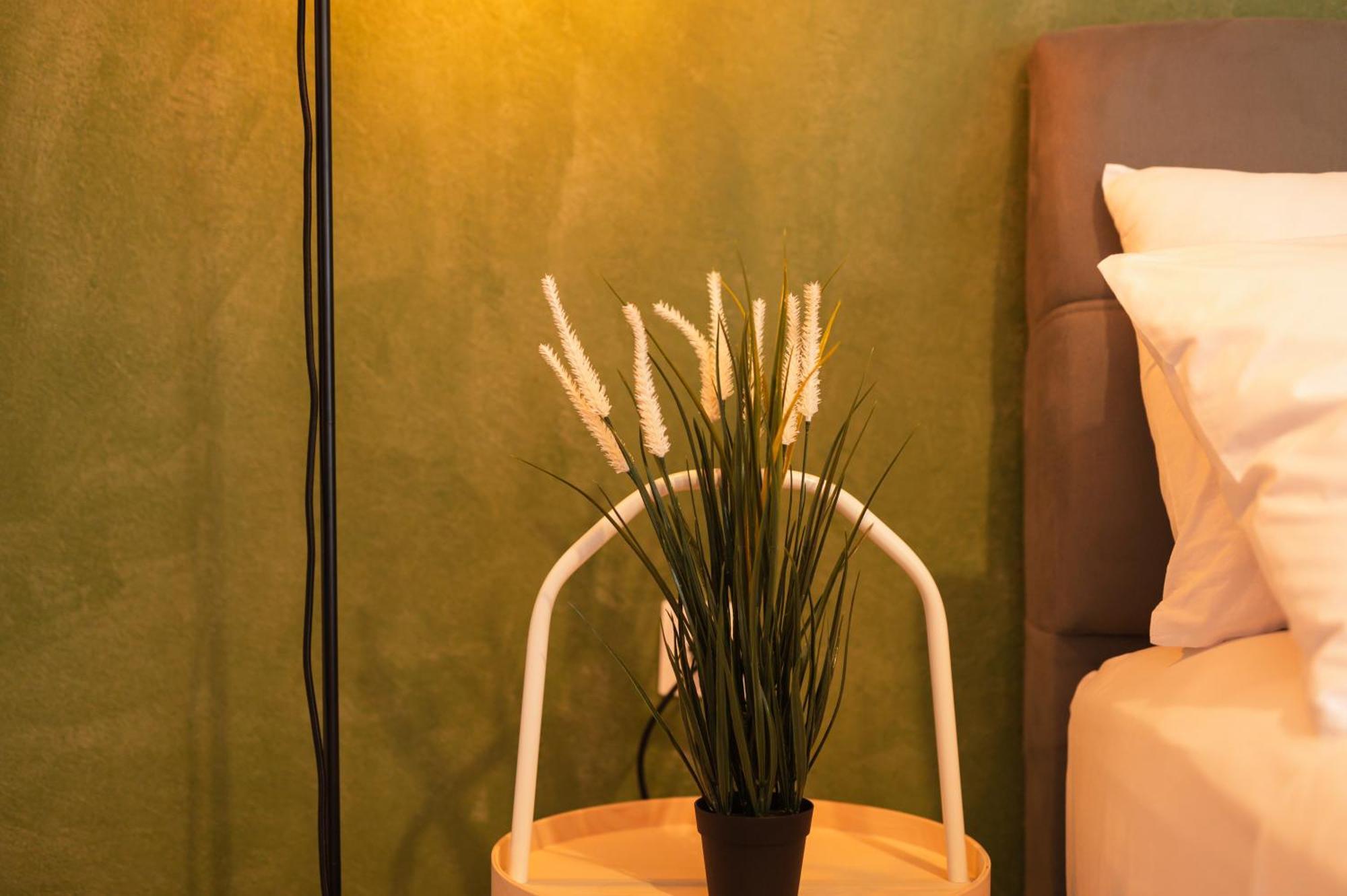 Ancient Forest Suite By Heeaven'S Hall Luxury Suites Alexandroúpolis Luaran gambar